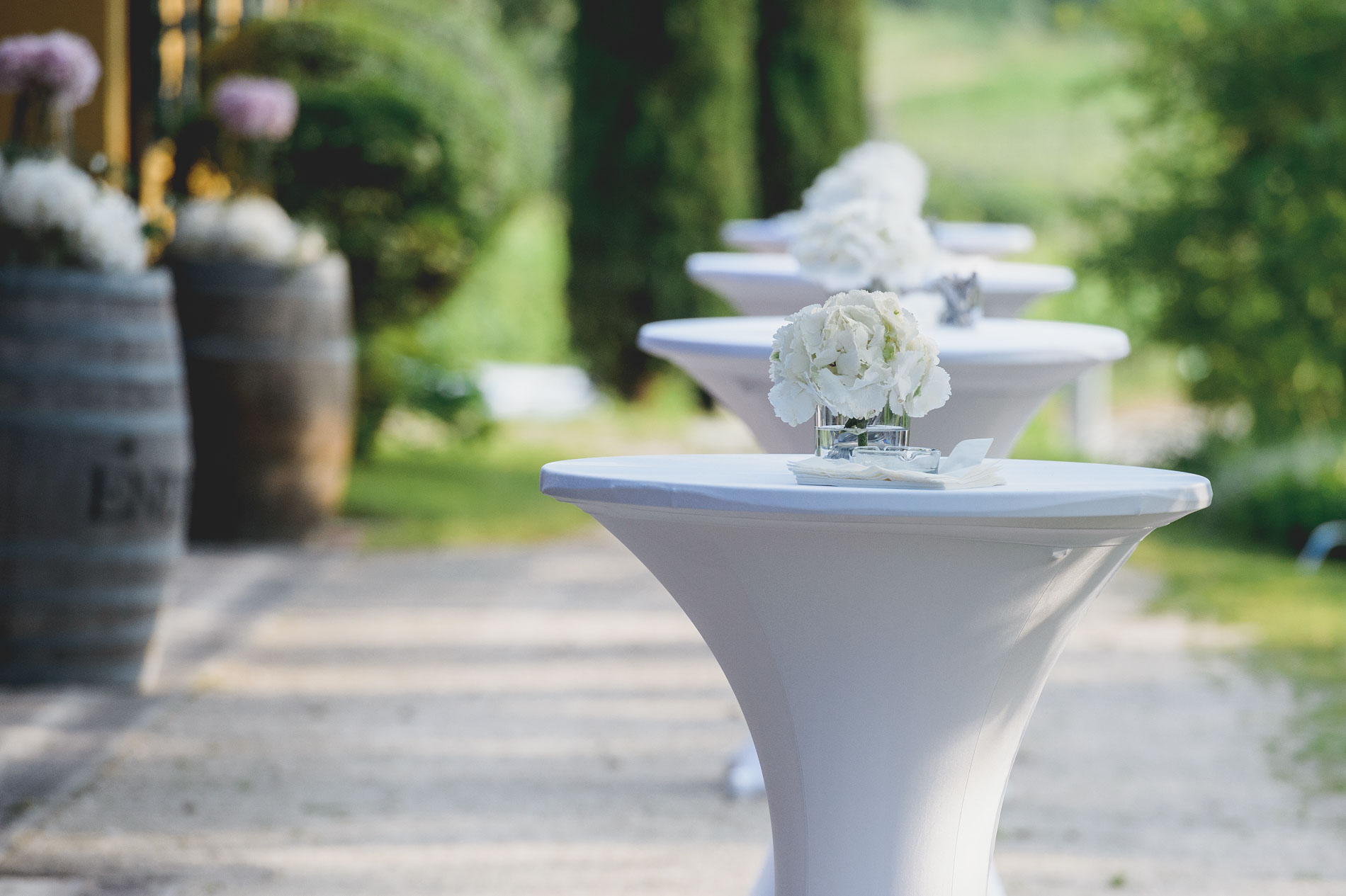 matrimonio in trentino, wedding in trentino, hochzeit trentino, matrimonio cantine endrizzi, matrimonio in cantina, wedding in trentino, wedding in italy