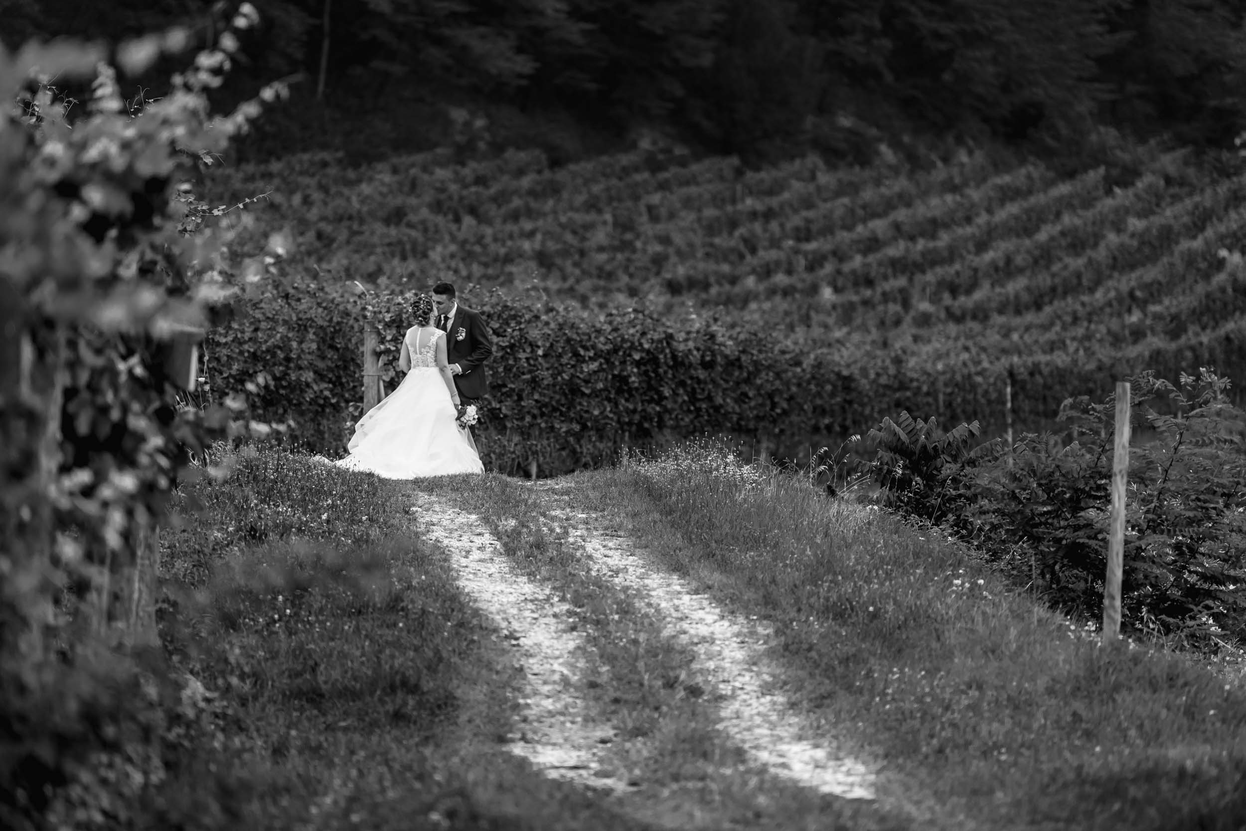 matrimonio in cantina, matrimonio cantine endrizzi , cantine endrizzi eventi, celebrazione cantine endrizzi, wedding cantine endrizzi , matrimonio tra le vigne , matrimonio in cantina , wedding in trentino, wedding dolomite, fotografo trento , fotografo trentino , fotografo san michele, fotografo matrimoni trento